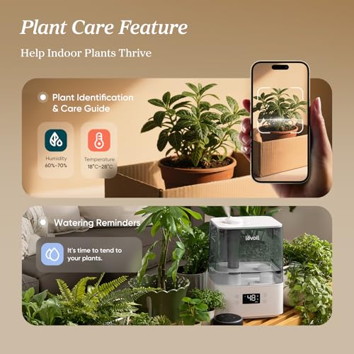 Humidifiers for Bedroom Large Room