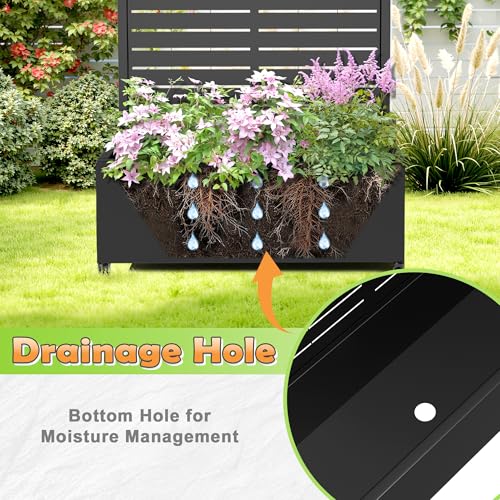 Metal Raised Garden Bed (Black Arched-louvered / 71" x 35" x 16")