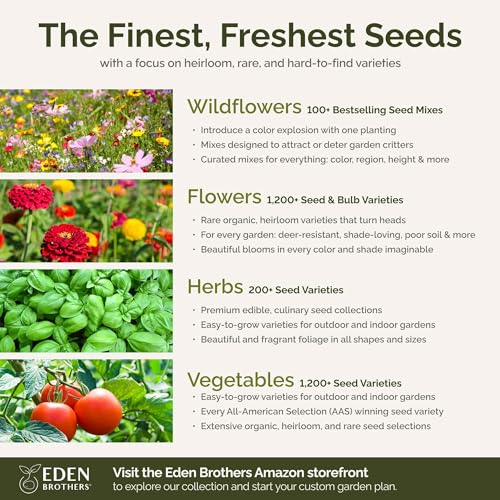 Georgia Wildflower Mixed Seeds for Planting