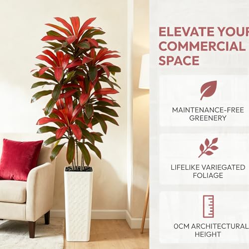 Artificial Dracaena Tree (Burgundy – White Pot / 7FT)