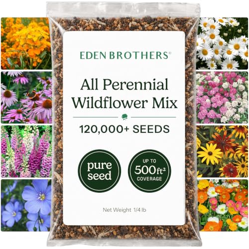 All Perennial Wildflower Seed Mix for Planting