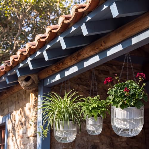 3 Pcs 8.3' 6.5'' 4.5'' Hanging Self Watering Pot for Indoor Plant (Clear / 6.9'' 6.5'' 4.5'')