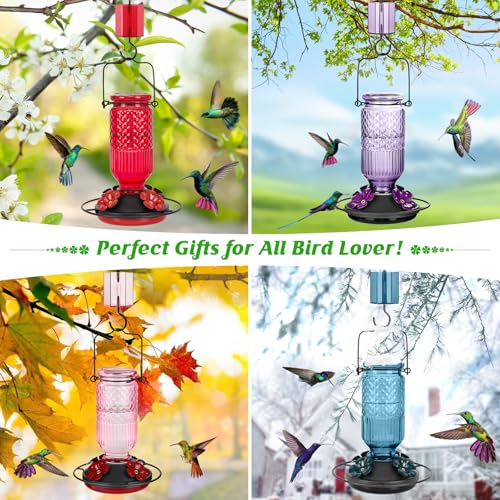 Glass Hummingbird Feeder for Outdoors Hanging (Purple)