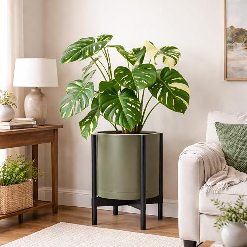 Plastic Pot with Ebony Wood Stand (Olive Pot + Ebony Stand / 14 Inch)
