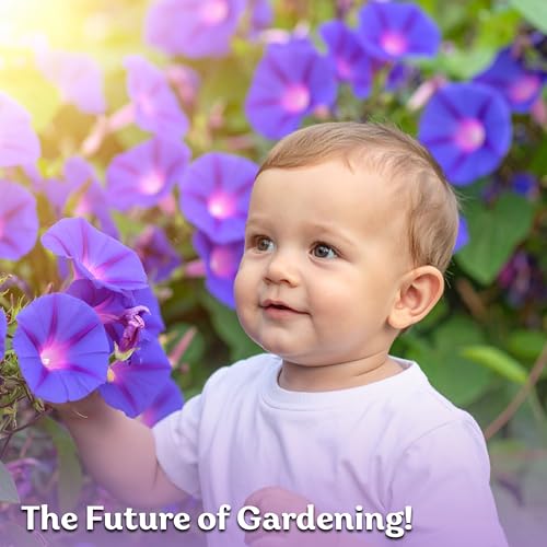 150 Grandpa OTT Morning Glory Heirloom Flower Seeds