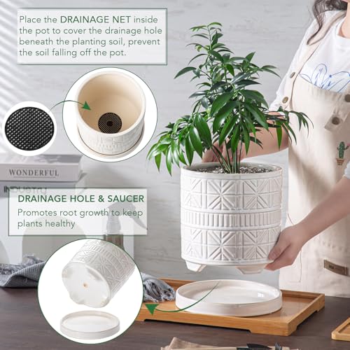 Ceramic Plant Pots Indoor (8 inch / White1)