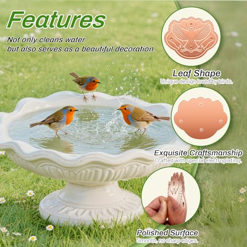 Bird Bath Copper Disk (1Pcs)