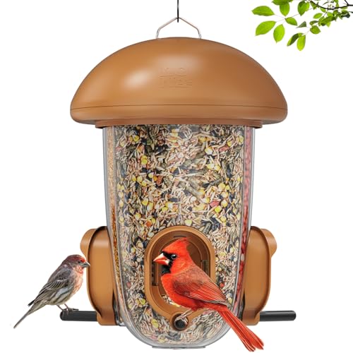 LONA Bird Feeder with 3 Compartments (Brown / MAX)