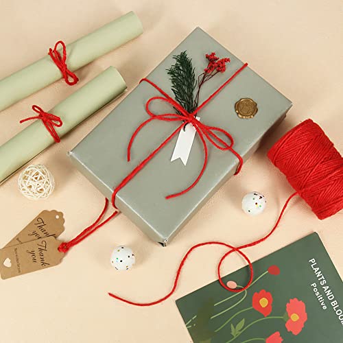 328ft 3mm Red Jute Twine Thick for Gift Wrapping (328 Foot)