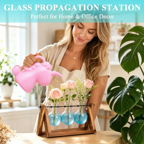 Plant Terrarium Kit with Wooden Stand 3 Gradient Blue Bulb Vases (Blue)
