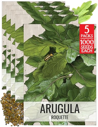 Arugula Seeds to Plant Heirloom Non (5 Packs)