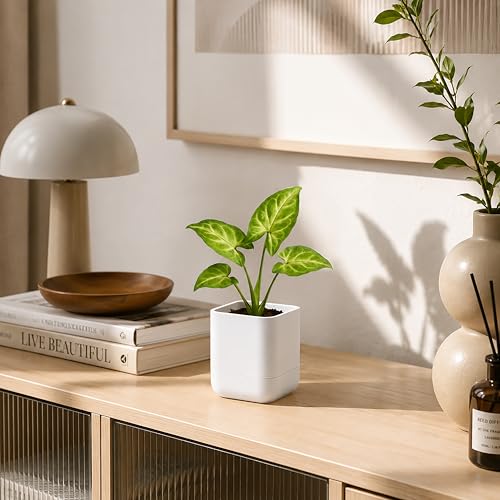 3.5 Inch Wall Mounted Self (3.5" (1 Pack) / White)