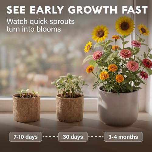 Sunflower Marigold & Zinnia Flower Seeds Growing Kit