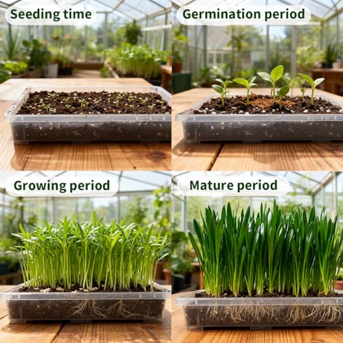Clear Seed Starter Trays 5 Pack (Clear / Holding Trays-5P)