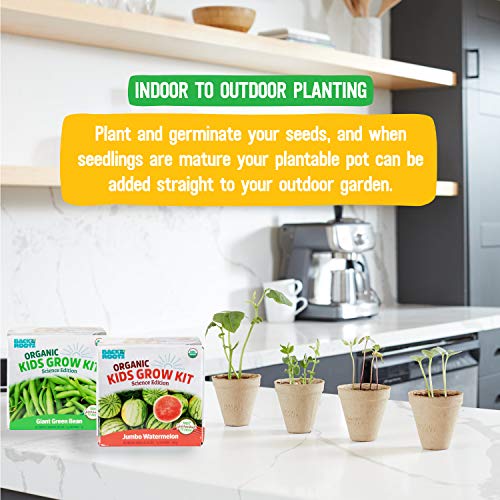 Kids Science Grow Kit (Bean and Watermelon Kit)