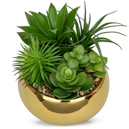 Succulents Plants Artificial in Pots Fake Succulents for Outdoors Indoor Faux Succulent Arrangement Potted Plant in Gold Ceramics Planter Bowl for Garden Office Desk Living Room Home Decor (Gold)