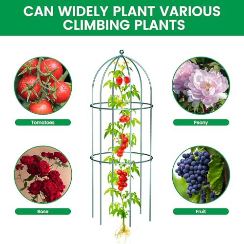 3 Pack Metal Plant Support Cage for Tomato Peony Cucumber (47.2 x 17.7 in / Green)
