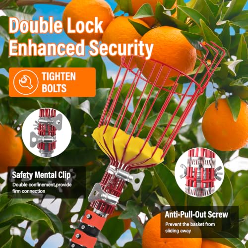 30 FT Reach Fruit Picker Pole with Basket Telescoping (Reach 30ft（24ft))