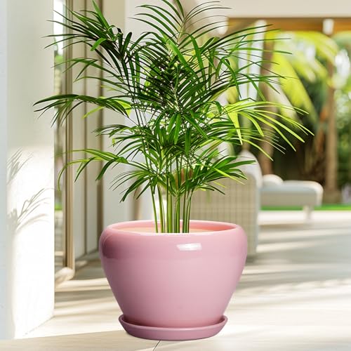 10 Inch Plant Pot (10 Inch / Pink)