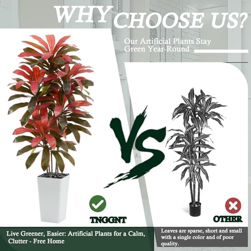 Artificial Dracaena Tree (Burgundy – White Pot / 6FT)