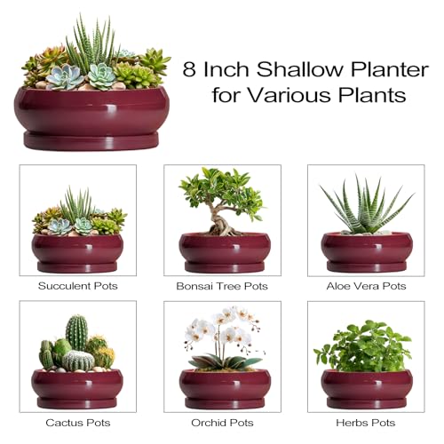 Succulent Pots (8 Inch / Wine Red)