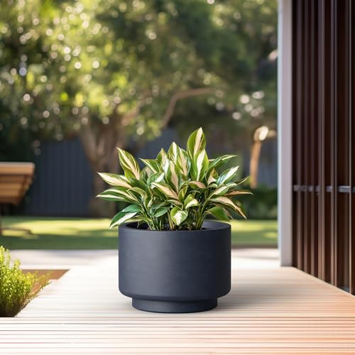 Charcoal Concrete Planter 15.7" Dia All (Charcoal / 15.7"Dia x 11.4"H)
