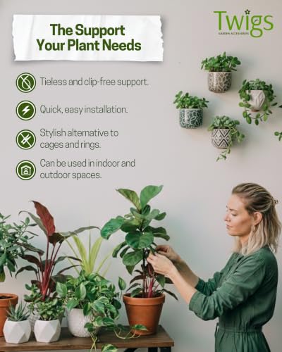 Original Plant Support Stakes (3 Count)