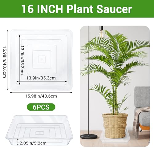 16 Inch Square Plant Saucer (16" / Clear)