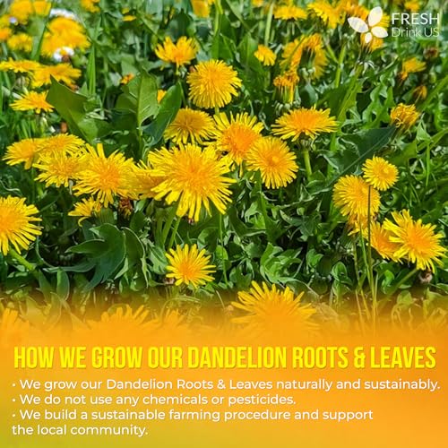 Premium 135 Dandelion Leaves and Roots Tea Bags (135 Tea Bags)