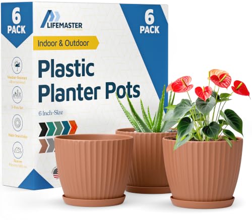 Terracotta 6 Inch Plant Pots with Drainage & Saucers 6 Pack (Terracotta / Pack of 6)