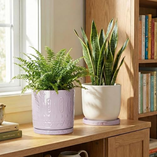 2 Pack Plant Trays for Pots (7.5 Inch (2 Pack) / Purple)