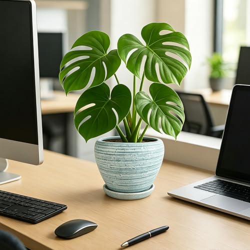 8 Inch Plant Pots (Brushed Green / 8 Inch)