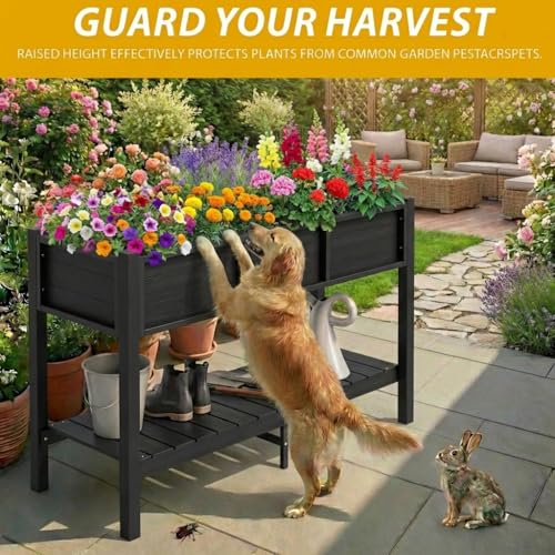 Raised Planter Box with Legs 48x18x30in Raised Garden Bed HDPE Poly Wood Weather (Black / 48x18x30in w/shelf)