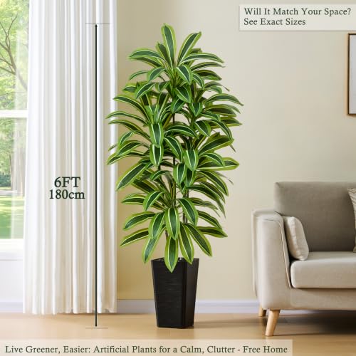 Artificial Dracaena Tree (Light Green – Black Pot / 6FT)