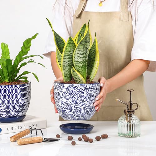 Ceramica Plant Pots (Vintage Blue / 6.5 Inch, Set of 2)