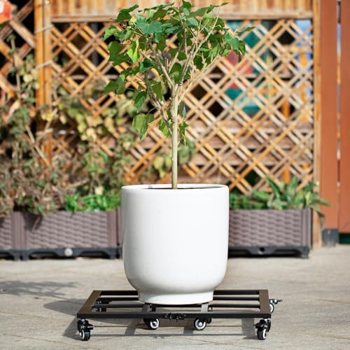 22 Inch Plant Coasters with 360° Swivel Wheels (22in)