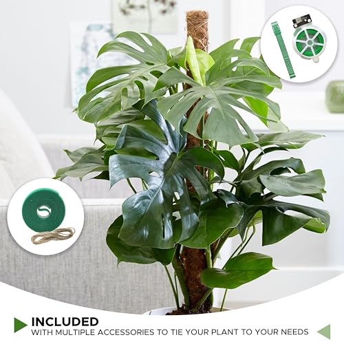 26.5" (2 Pack -16") Stackable Moss Pole for Monstera Plant Support | Moss Pole Sticks for Indoor Plants | Bamboo Plant Stakes,Climbing,Potted,Pothos| Philodendron & Creepers with Tie Accessory (16 Inches - (2 PCS))