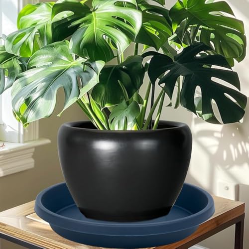 Plastic Plant Saucer 10 Inch Round Pack of 2 Heavy Duty Drip Trays for Indoor Outdoor Pots (10" (2 Pack) / Dark_blue)