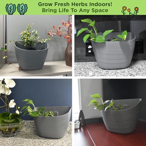 12 Inch Self Watering Wall Planter for Indoor & Outdoor Use (Black / 12 inches - WITHOUT PLUG)