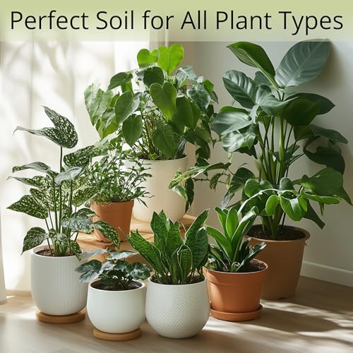 Coconut Coir Potting Soil for Indoor Plants