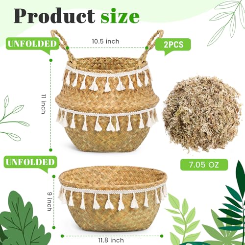 Large Wicker Plant Basket with Handle 10 Inch Woven Seagrass Belly Basket and Artificial Moss for House Plants Picnic Grocery Laundry Storage Home Decor (Large / Boho)