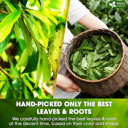 Premium 75 Bags Soursop Green Tea (75 Count)
