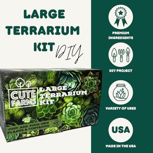 Terrarium Starter Kit (Large Kit + Live Plants + Crystals)