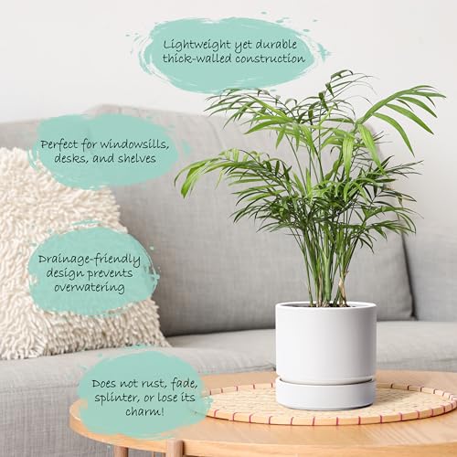 6 Inch Planter Pot with Drainage Hole & Saucer (2 Count)