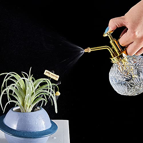 Glass Plant Mister Water Spray Bottle (Clear+Gold A)