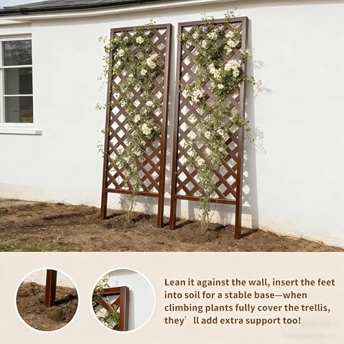 2 Pack Wood Garden Decor Trellis for Climbing Plants Outdoor (Dark Brown / H72 × W24 × D1.25 in)