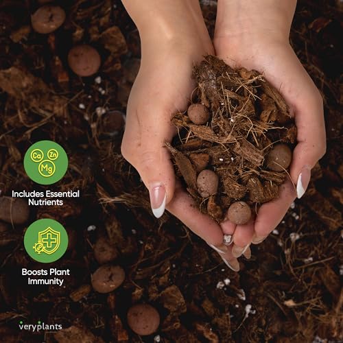 Molly's Aroid Potting Mix