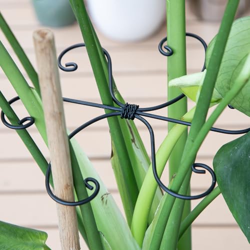 5PCS Black Monstera Plant Stem Support (Black / 7.5IN*7.5IN)