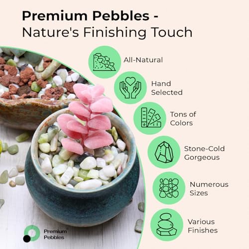 Pink Coarse Sand for Plants (X-Mini (0.125 Inch) / COARSE SAND - PINK CRYSTAL)