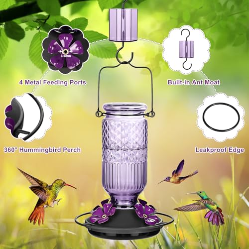 Glass Hummingbird Feeder for Outdoors Hanging (Purple)